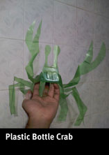 bottle crab